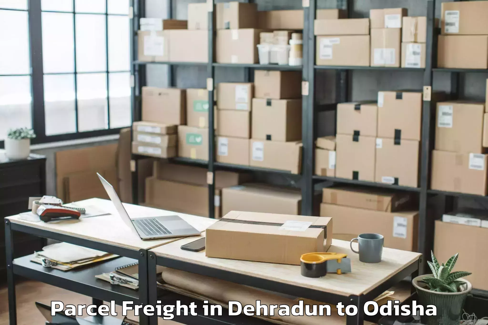 Book Dehradun to Nandipada Parcel Freight Online